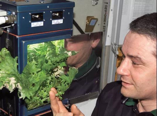 国际空间站上的这位科学家正在监测零重力环境下植物的生长情况