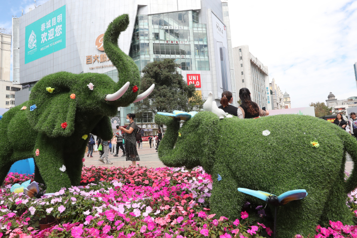 A plant sculpture of two elephants stands in a bed of flowers on Sept. 29 in Kunming, Southwest China’s Yunnan province. Photo: VCG