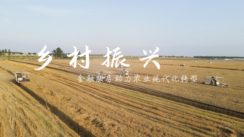 乡村振兴——金融服务助力农业现代化转型