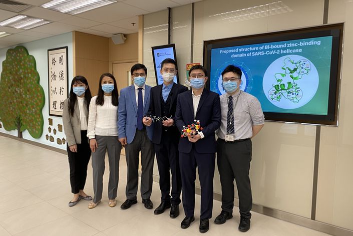 The research team is in touch with pharmaceutical companies, in hopes of moving forward with clinical trials and the manufacturing of the drug combination. Photo: University of Hong Kong
