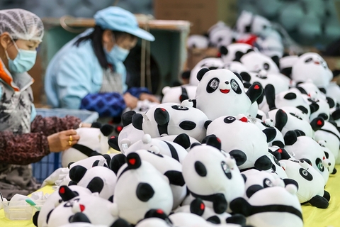 2022年2月8日，福建晋江，恒盛玩具有限公司生产车间，工人在整理即将装壳的毛绒熊猫公仔。随着北京冬奥会的开幕，吉祥物“冰墩墩”迅速走红，一些地方出现了“一墩难求”排队购买的现象。多地企业接到北京奥组委加单任务后，加急生产。图/IC PHOTO