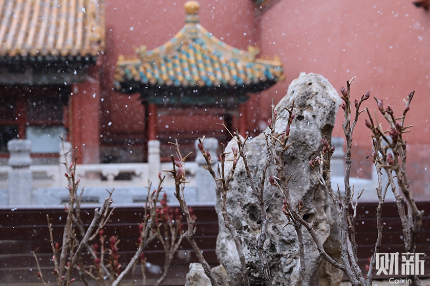 3月17日，北京，故宫里飘起雪花。