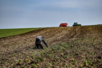 博客｜战争之下，危险的农田与动荡的国际粮食市场