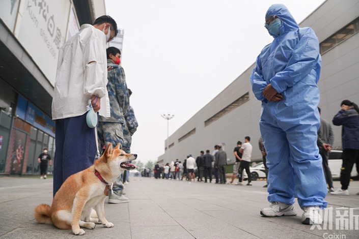 On April 25, a citizen walks his dog while getting a nucleic acid test in Chaoyang district, Beijing. Photo: Ding Gang/Caixin