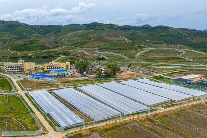 A national seed breeding base located in Sanya city, Hainan province. Photo: VCG