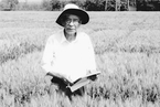 心系三农的小麦遗传育种学家、院士庄巧生去世，105岁｜讣闻