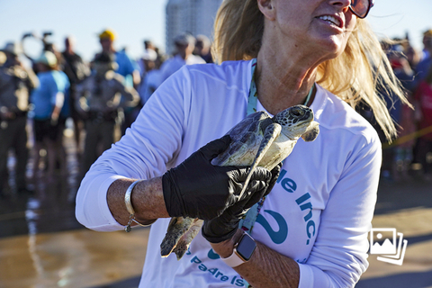 当地时间2022年2月8日，美国得克萨斯州，当地一群志愿者和爱心人士在海浪中放生绿海龟，几十只因寒冷天气而出现“冷眩晕”的绿海龟被送回了它们的栖息地。每年的5月23日是世界海龟日，国外龟类救援组织发起了这个国际性的节日，以激励人们对这一古老物种的爱护与救助。图：Denise Cathey/视觉中国