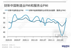 【财新PMI】分析：财新中国服务业PMI大幅上升13.1个百分点