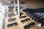 上海图书馆东馆即将开放 系国内单体建筑面积最大的图书馆