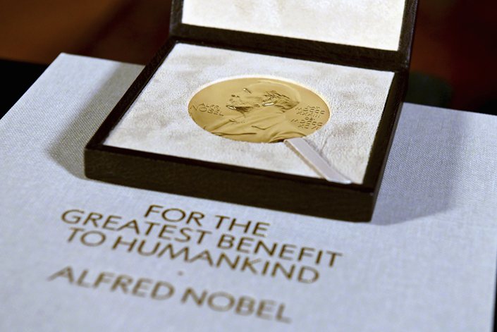 A Nobel diploma and medal are displayed in New York in Aug. 2020. Photo: VCG