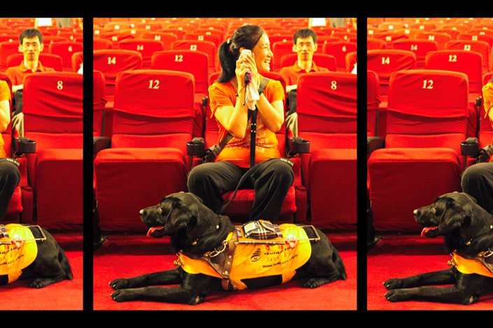 Moviegoers watch a film with their guide dogs in a Shanghai Cinema on Aug. 30, 2012. Photo: VCG