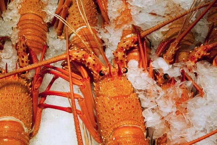 While China never officially acknowledged the curbs on lobsters, a recent social media post from customs stoked expectations that the crustacean would once again be welcome