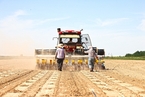 农业部：去年中国大豆播种面积1958年来最高 自给率约18.5%
