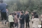 湖南桂东农民种生姜被强行铲除 农管执法频现争议