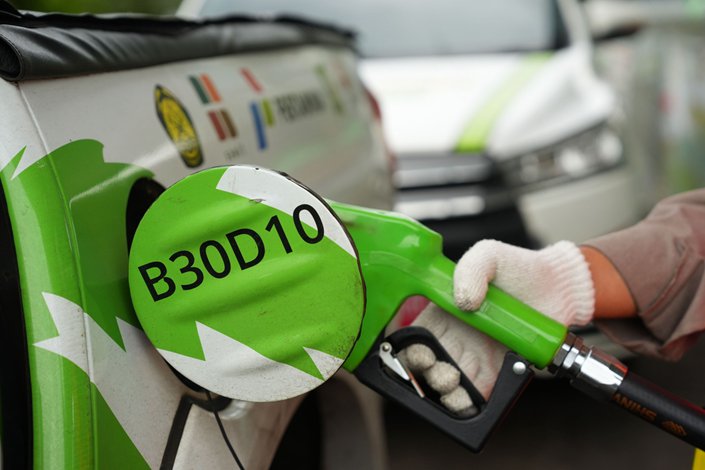 A group representing China's biggest producers and affiliated with the technology ministry promised closer monitoring of the quality and sourcing of biofuels.
