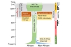 研究：90万年前人类祖先几乎灭绝 成年个体仅约1300人