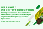 研报集纳｜中国首份再生农业系统性报告发布：助力多重目标下的中国农业可持续转型