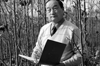 中国黑杨的引种和推广者、工程院院士王明庥逝世，91岁｜讣闻