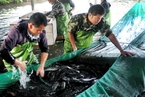 中央环保督察：福建一些鳗鱼养殖企业超标排放