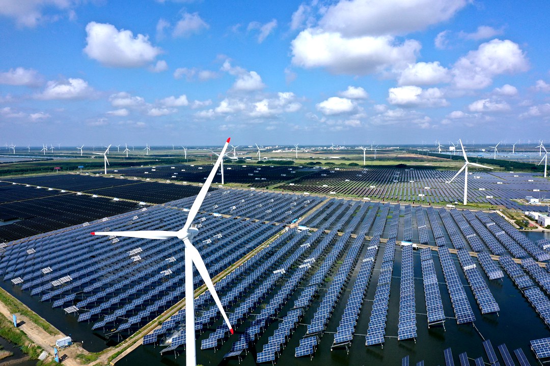 A wind and solar power plant operates in Dongtai, Jiangsu province on June 11, 2023. Photo: VCG