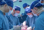 中国团队完成世界首例猪肝脏体内异种移植