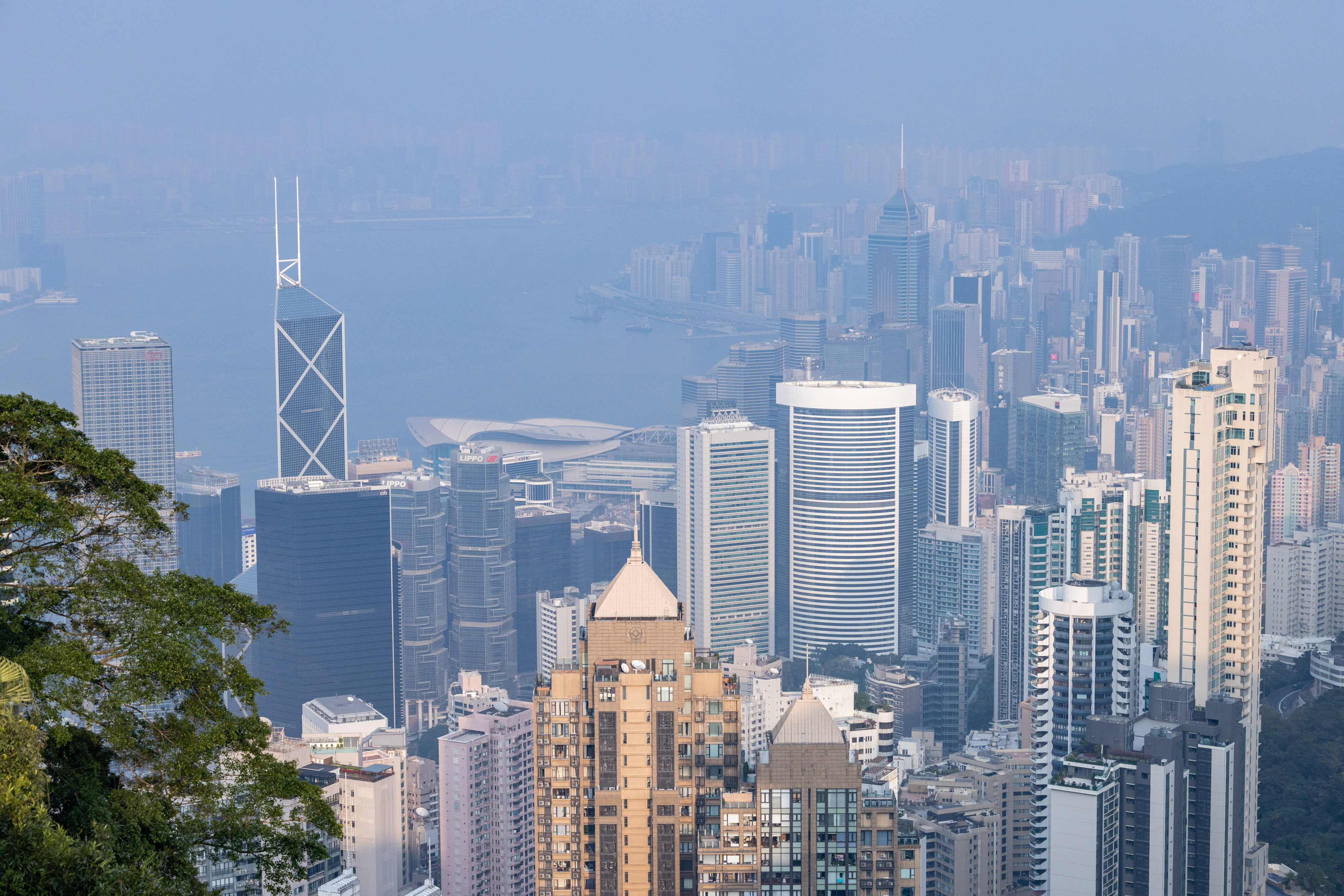 Buildings in Hong Kong on Jan. 9. Photo: Bloomberg